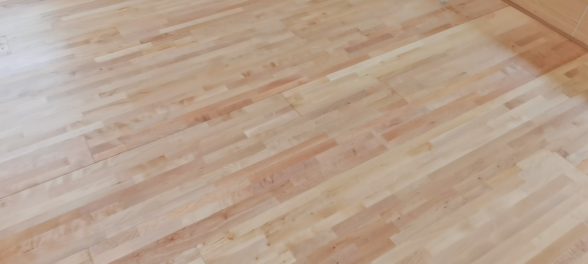 楓木運動地板.jpg