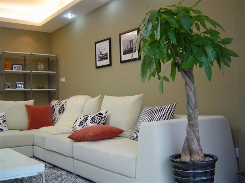 福州比美特裝修效果圖_咖啡廳裝修效果圖 設(shè)計_福州裝修設(shè)計