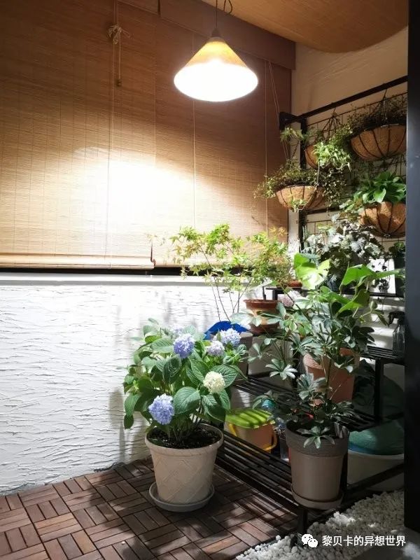 內衣實體店裝修風格圖_內衣店裝修圖_內衣飾品店裝修圖片