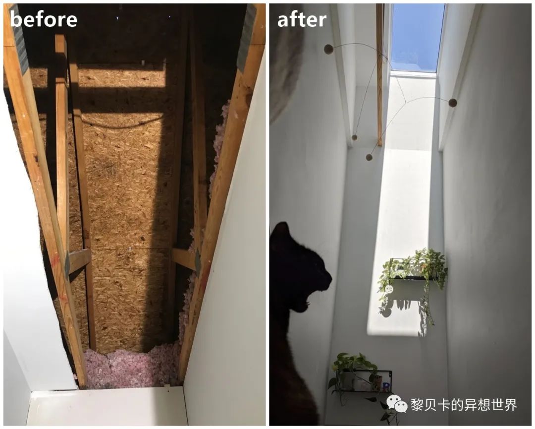 內衣店裝修圖_內衣飾品店裝修圖片_內衣實體店裝修風格圖