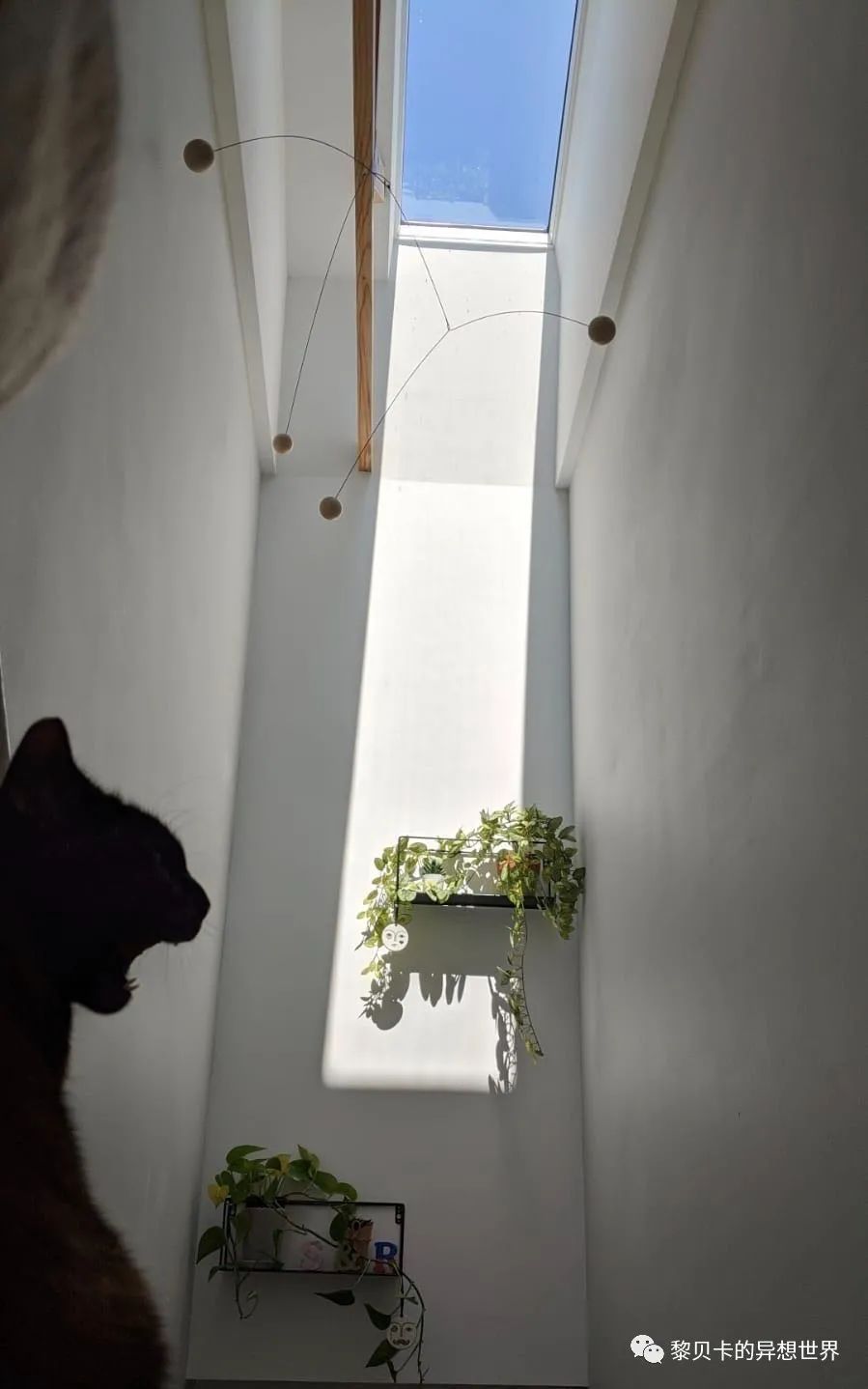 內衣店裝修圖_內衣飾品店裝修圖片_內衣實體店裝修風格圖