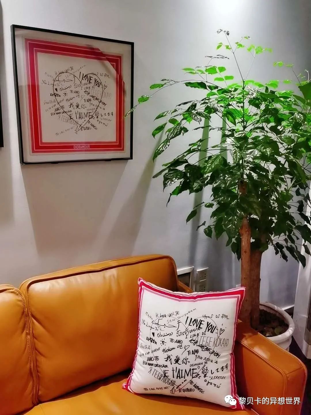 內衣實體店裝修風格圖_內衣飾品店裝修圖片_內衣店裝修圖