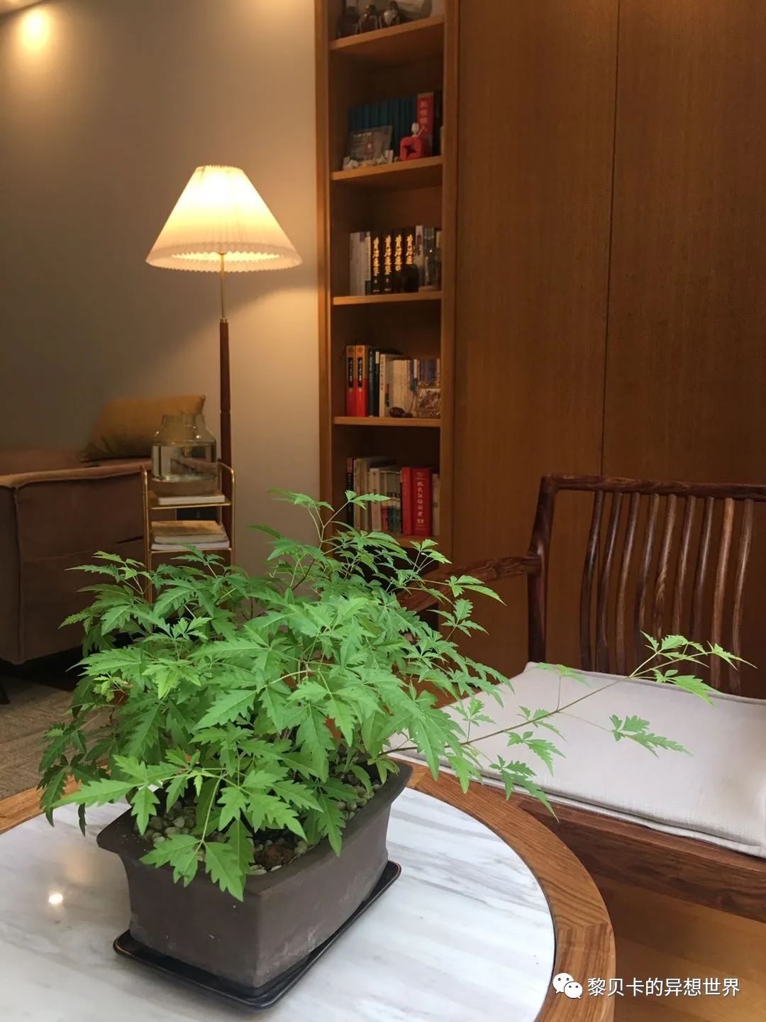 內衣店裝修圖_內衣飾品店裝修圖片_內衣實體店裝修風格圖