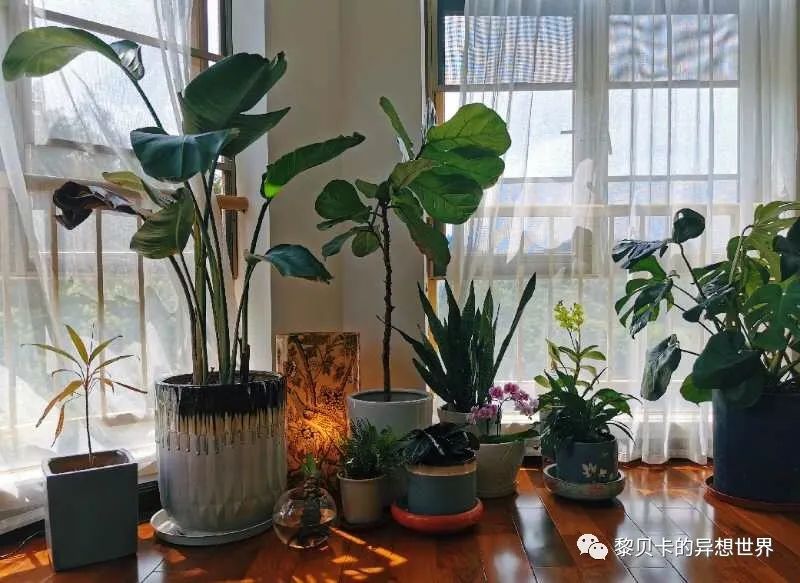 內衣飾品店裝修圖片_內衣店裝修圖_內衣實體店裝修風格圖