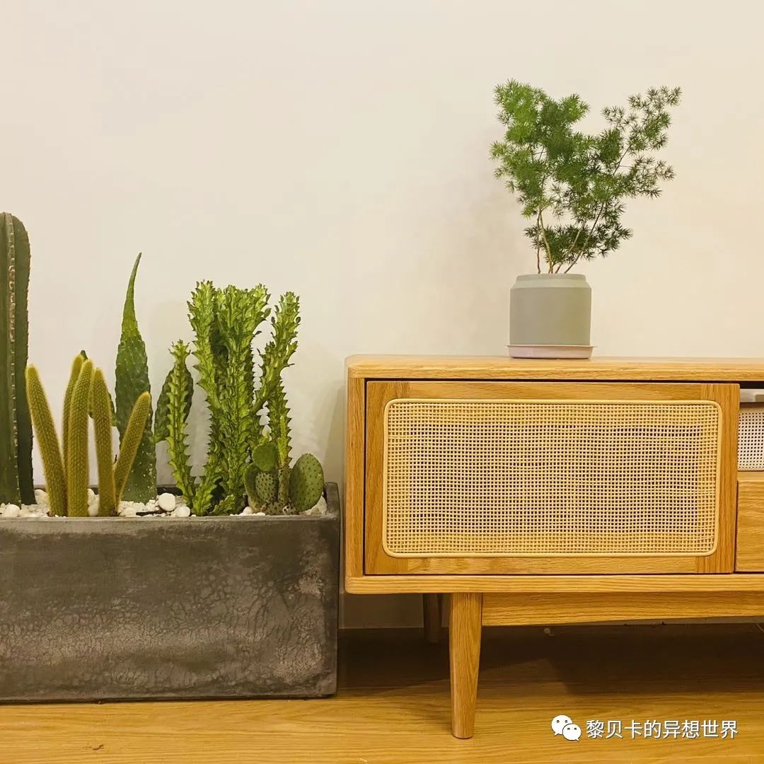 內衣飾品店裝修圖片_內衣店裝修圖_內衣實體店裝修風格圖