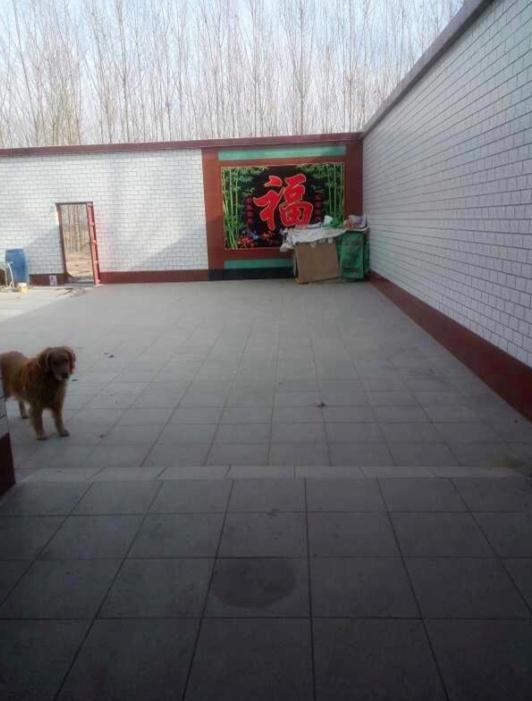 曬曬我的農(nóng)村婚房，占地面積600平，廚房超級大，臥室誰見過？