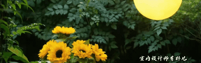 她買下一樓60平方米院子，打造成絕美花園，連陽臺、客廳也不放過