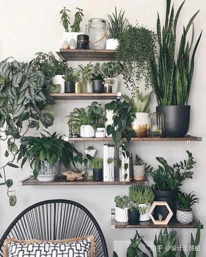 門(mén)廳玄關(guān)隔斷裝修效果圖大全_門(mén)廳玄關(guān)裝修效果圖_進(jìn)門(mén)玄關(guān)裝修效果圖片